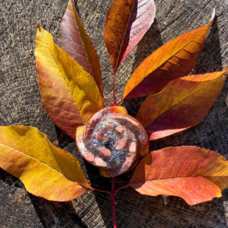 Golden Autumn Orgone Rose with Rhodochrosite