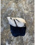 Raw Tourmalinated Quartz 2.75" x 1" - Image 4
