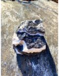 Raw Zebra Calcite 5.5" x 3" - Image 6